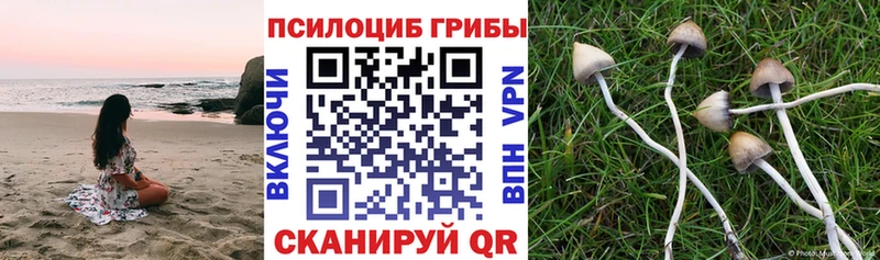 Галлюциногенные грибы Cubensis  ссылка на мегу сайт  Пермь 