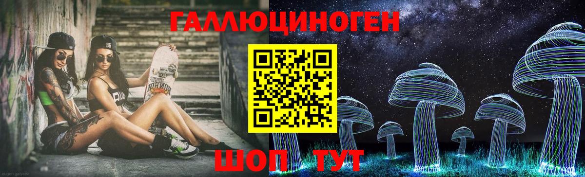 Пермь  Псилоцибиновые грибы Psilocybe  Вход с VPN 