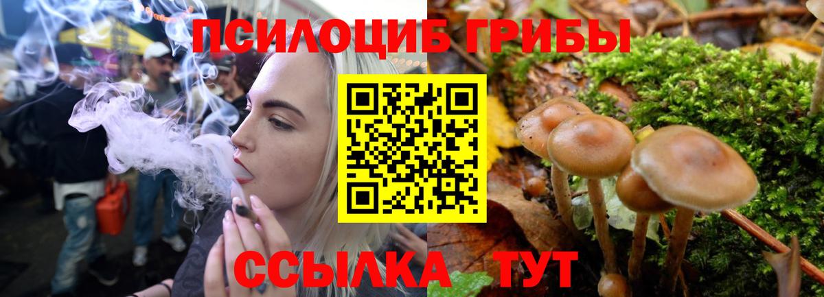 цены наркотик  Пермь  Псилоцибиновые грибы Magic Shrooms 